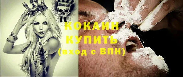 трава Белокуриха