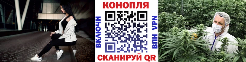 Каннабис White Widow Севск
