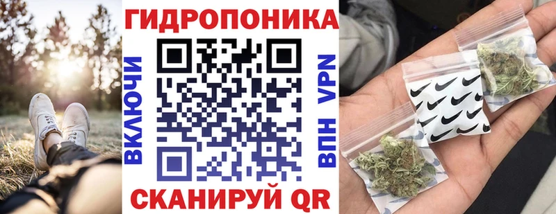 Шишки марихуана White Widow  мега как войти  Севск 